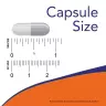 Now Foods Brain Elevate Veg Capsules (60 Capsule veg)