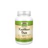 Now Foods Xanthan Gum Powder (170 g)