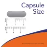 Now Foods Berberine Glucose Support Softgels (60 Capsule morbida)