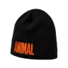 Universal Nutrition Animal Beanie (1 db, Nero/Arancione)