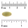 Swanson Oregano Oil 10:1 Extract (120 Capsule morbida)