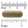 Swanson Full Spectrum Moringa Oleifera 400 mg (60 Capsule)