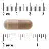 Swanson Ashwagandha Extract - Standardized 450 MG (60 Capsule)