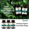 Himalaya Organic Bacopa (60 Capsule)