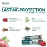 Himalaya Dental Cream Toothpaste (100 g, Melograno)