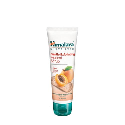 Himalaya Gentle Exfoliating Apricot Scrub  (75 ml, Albicocca)