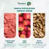 Himalaya Gentle Exfoliating Apricot Scrub  (75 ml, Albicocca)