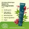 Himalaya Botanique Neem Pomegranate Toothpaste  (75 ml, Neem e melagrana)