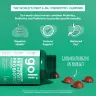 Goli Pre + Post + Probiotics Gummies (60 Caramella gommosa)