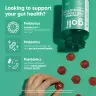 Goli Pre + Post + Probiotics Gummies (60 Caramella gommosa)