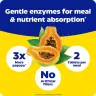 Enzymedica Papaya Complete (120 Compressa, Papaya menta)