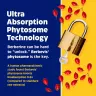 Enzymedica Berberine Phytosome® (60 Capsule)