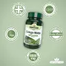 Natures Aid Ginkgo Biloba Standardised 120 mg (90 Compressa)