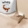 Nutriversum Whey PRO - PURE (1000 g, Fragola)