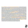 BioTechUSA Daily Pack (30 Confezione)