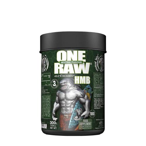 Zoomad Labs Raw One HMB (300 g, Non Aromatizzato)