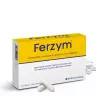 Natur Tanya S. Ferzyme Intestinal Flora Capsules (30 Capsule)