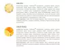 Extrifit Gel Regel - Regel Gel (25 x 80 g, Ananas)