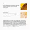 The Body Shop Vitamin E Eye Cream (15 ml)