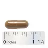 Nature's Way Blood Sugar Manager (90 Capsule)