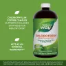 Nature's Way Chlorofresh® Liquid Chlorophyll (480 ml, Non Aromatizzato)