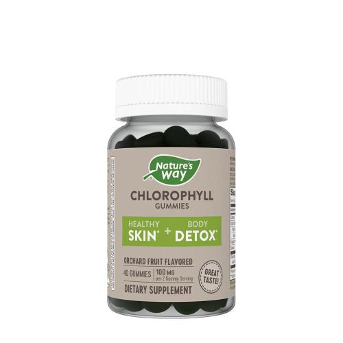 Natures Way Chlorophyll Gummies (60 Caramella gommosa, Frutta)