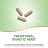 Nature's Way Dandelion Root (100 Capsule)