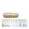 Nature's Way Fenugreek Seed (100 Capsule)