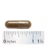 Nature's Way Gotu Kola Herb (100 Capsule)