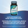 Nature's Way Mega-Zyme® (100 Compressa)