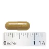 Nature's Way Milk Thistle (60 Capsule)