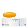 Nature's Way Turmeric Premium Extract (60 Compressa)