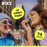 Nick's Cup di burro di arachidi (2 x 15 g)