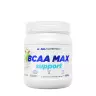 ALLNUTRITION BCAA Max Support (500 g, Mela)