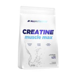 ALLNUTRITION Creatine Muscle Max (1000 g, Non Aromatizzato)