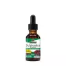 Nature's Answer Schisandra Extract (1 fl. oz.)