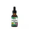 Nature's Answer Echinacea Extract (1 fl. oz.)