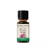 Nature's Answer Organic Clove (0.5 fl. oz.)