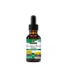 Nature's Answer St John’s Wort Extract (1 fl. oz.)