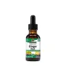 Nature's Answer Ginger Extract (1 fl. oz.)