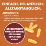 INLEAD Nutrition Turmeric Extract (120 Capsule veg)