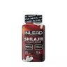 INLEAD Nutrition Shilajit (120 Capsule veg)