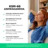 Vitamin360 KSM-66 Ashwagandha® 200 mg – Integratore alimentare premium con ashwagandha (120 Capsule veg)