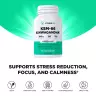 Vitamin360 KSM-66 Ashwagandha® 200 mg – Integratore alimentare premium con ashwagandha (120 Capsule veg)